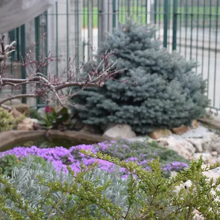 Bene&breakfast 住宿加早餐酒店 *